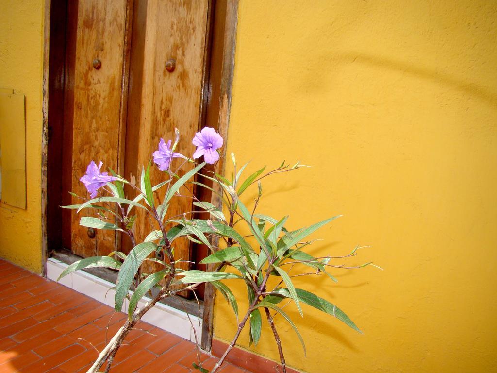 Hotel Casa Vieja Санта Марта Екстериор снимка